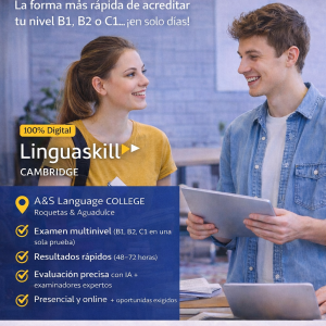 Curso LinguaSkill para B1-B2-C1